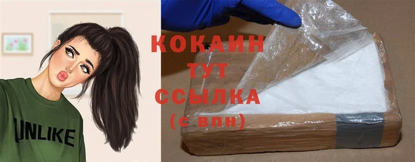 ГАЛЛЮЦИНОГЕННЫЕ ГРИБЫ Кукмор