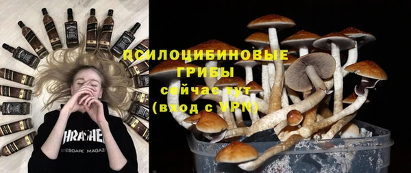 синтетический гашиш Дмитриев