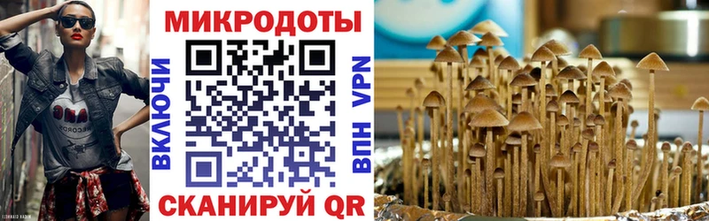 Галлюциногенные грибы прущие грибы  Петров Вал 