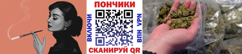 Бошки Шишки White Widow  закладки  Петров Вал 